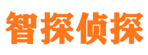 林口市私家侦探